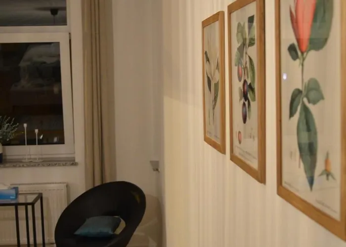 Msf Blauer Wolf * Kassel